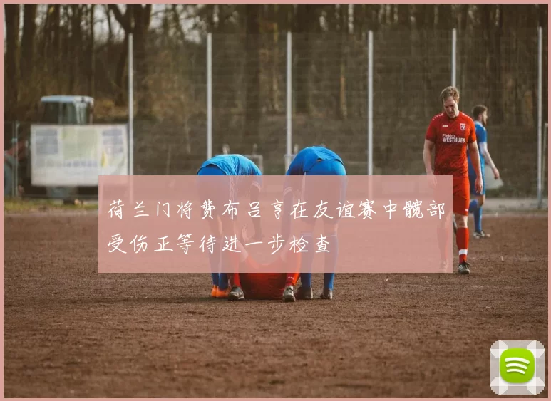 荷兰门将费布吕亨在友谊赛中髋部受伤正等待进一步检查