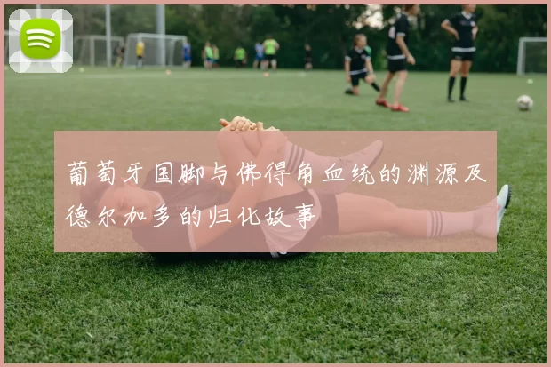 葡萄牙国脚与佛得角血统的渊源及德尔加多的归化故事