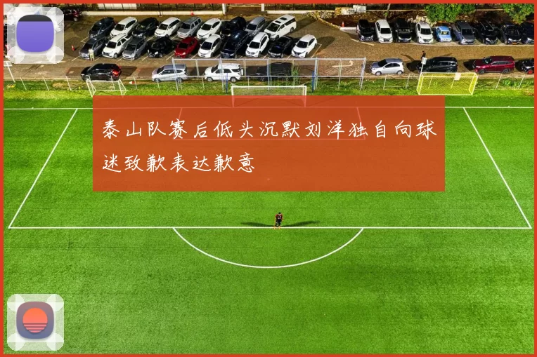 泰山队赛后低头沉默刘洋独自向球迷致歉表达歉意