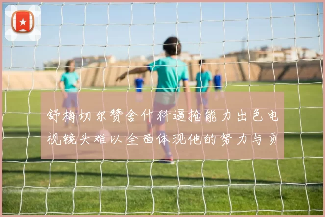 舒梅切尔赞舍什科逼抢能力出色电视镜头难以全面体现他的努力与贡献