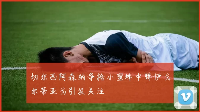 切尔西阿森纳争抢小蜜蜂中锋伊戈尔蒂亚戈引发关注